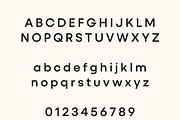 Ideal Pro Sans Family, a Sans Serif Font by Creative Foundry (Thumbnail 7 of 9)
