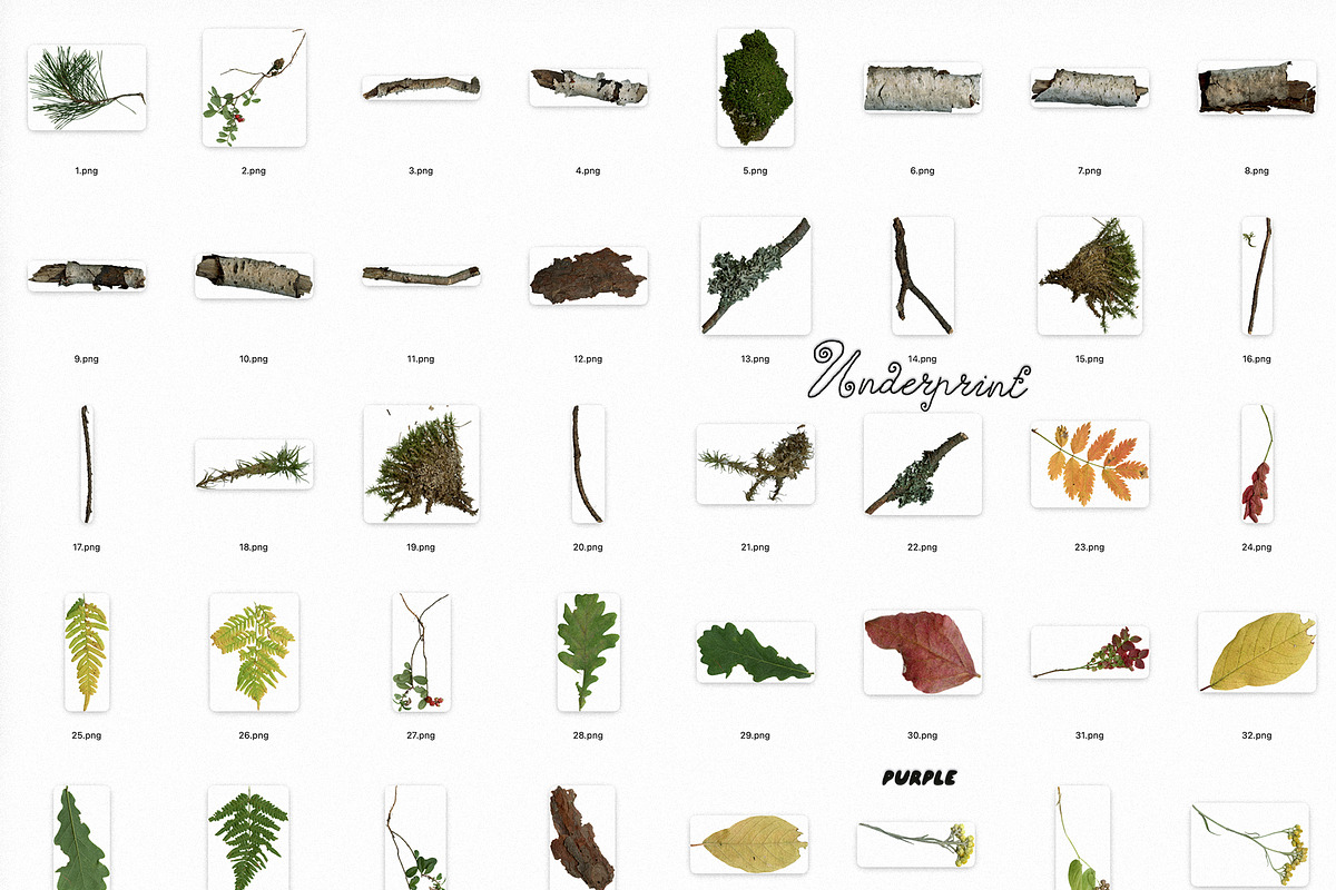 Leaf Imprints, Forest Scans & Paper, an Object Graphic by Purple (Photo 16 of 20)
