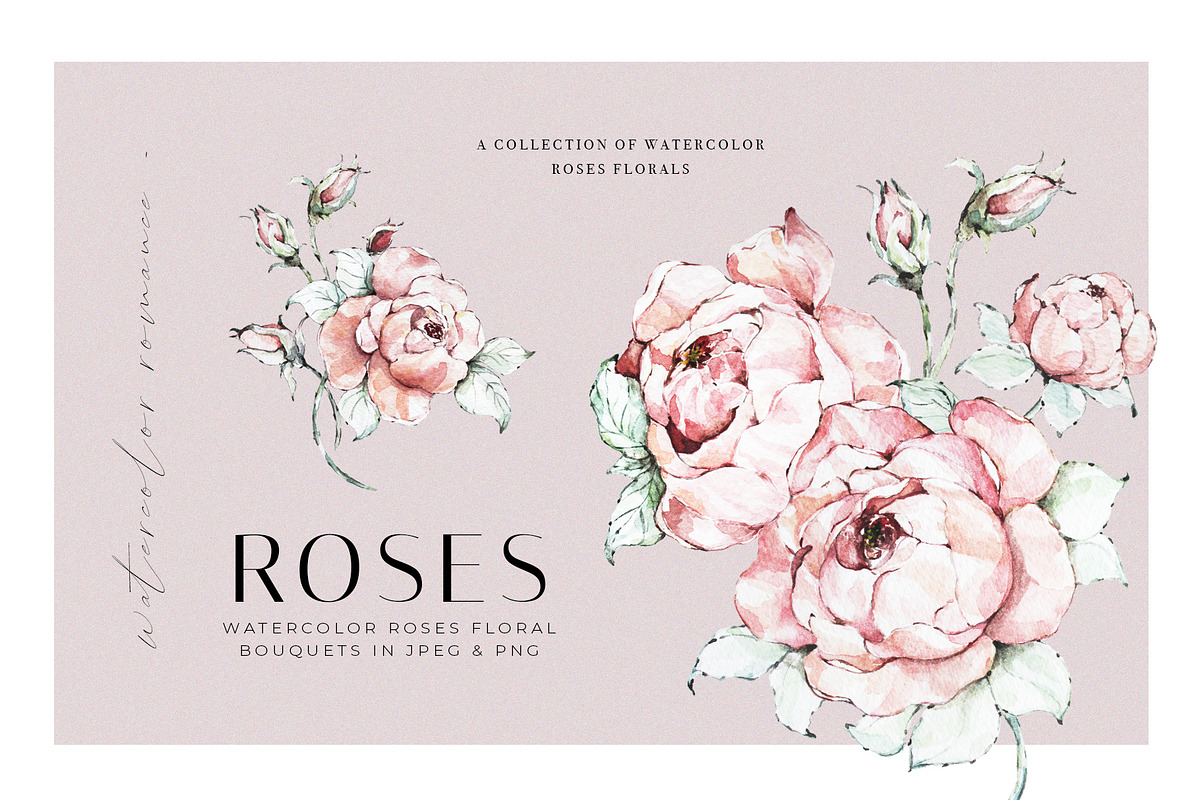 Watercolor Roses Clipart, an Illustration by WalaPalette (Photo 9 of 11)