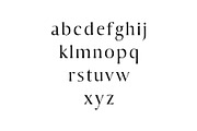 Sondra Serif 6 Fonts Family Pack, a Serif Font by Creativetacos (Thumbnail 4 of 5)