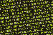 Antique Orchad Hybrid Serif Font, a Serif Font by timelesstype.co (Thumbnail 15 of 20)