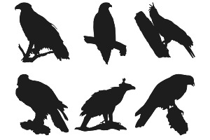 Eagle Silhouettes Set 1 Procreate