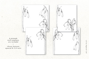 Snowdrop Flowers & Card Templates