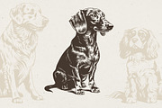 215 Dog Illustrations, an Animal Illustration by Nocturnal Wolf (Thumbnail 4 of 14)