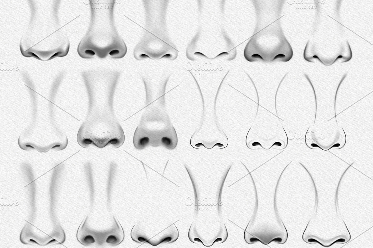 Realistic Nose Stamps for Procreate, a Brush Add-On by sundrameda (Photo 2 of 3)