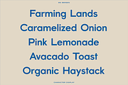 BN Bergen, a Sans Serif Font by Bnick (Thumbnail 9 of 11)