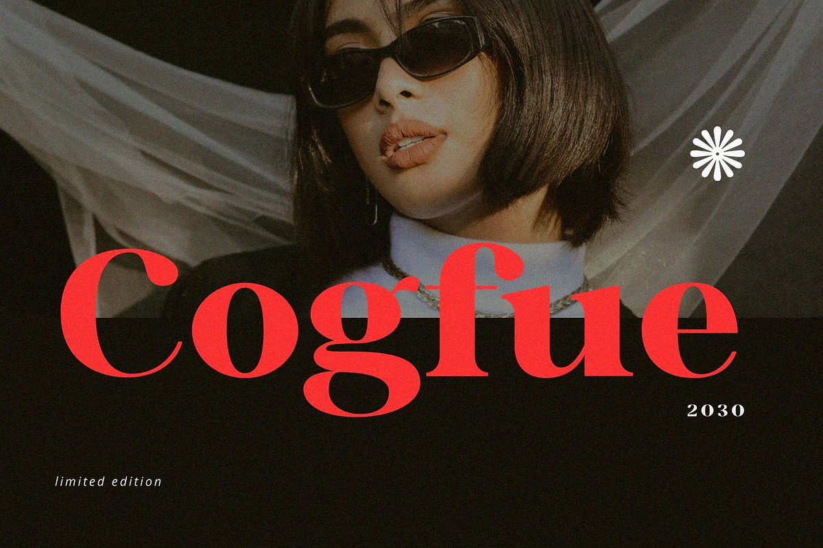 Baligon - Modern Bold Serif, a Serif Font by Typeformers (Photo 4 of 8)
