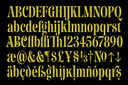 Newsagent, a Font by Simon Walker (Thumbnail 8 of 8)