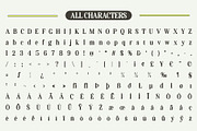 Amaris Blur, a Serif Font by Craft Supply Co. (Thumbnail 8 of 8)