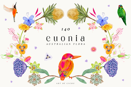 euonia - Australian Flora, a Decorative Illustration by LiChu Art