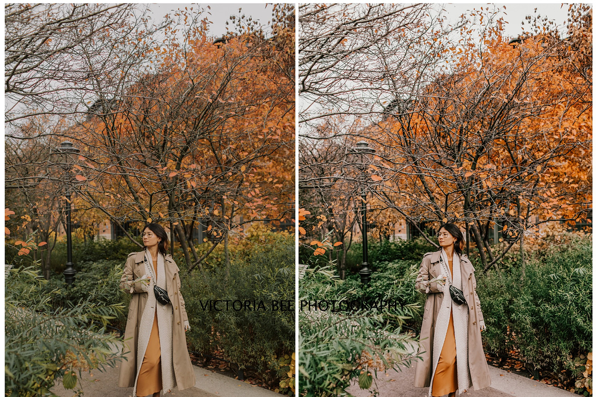 FALL LIGHTROOM PRESETS BRIGHT AUTUMN, a Preset Add-On by Victoria Bee Presets (Photo 5 of 9)