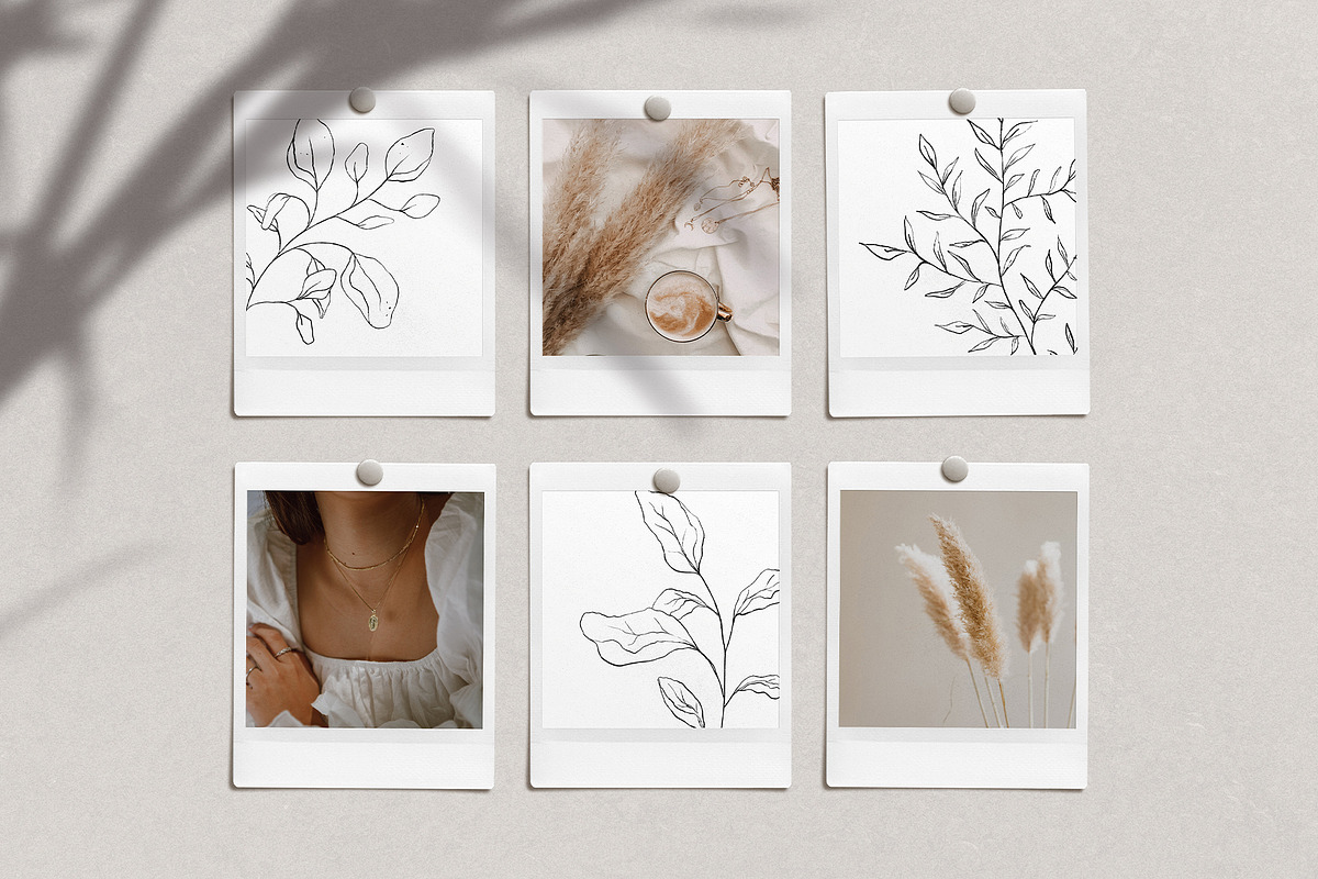 Minimalist floral botanical line art, a Decorative Illustration by Madiwaso (Photo 2 of 9)