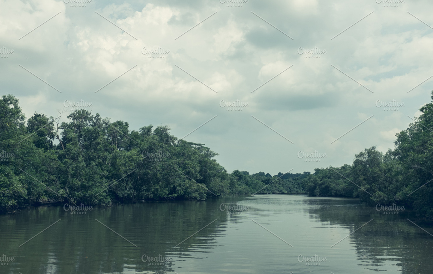 Swamp river, a Nature Photo by CLZ photography