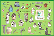 Birds & Cats-Watercolor Clipart, an Animal Illustration by VianneArt (Thumbnail 2 of 9)