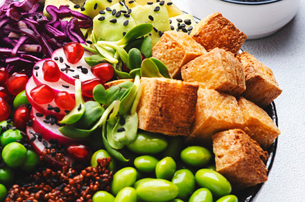 Healthy vegan diet food. Buddha bowl with quinoa, fried tofu, av, a Food & Drink Photo by 5PH