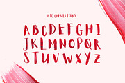 Aloja Extended Brush Font, a Handwritten Font by Wild Ones (Thumbnail 2 of 13)