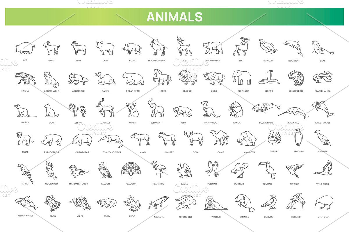 Animal icons. Vector icon set, an Animal Illustration by Tettygreen (Photo 1 of 3)