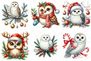 Watercolor Christmas Owl Clipart, an Illustration by DreamPrint404 (Thumbnail 3 of 6)