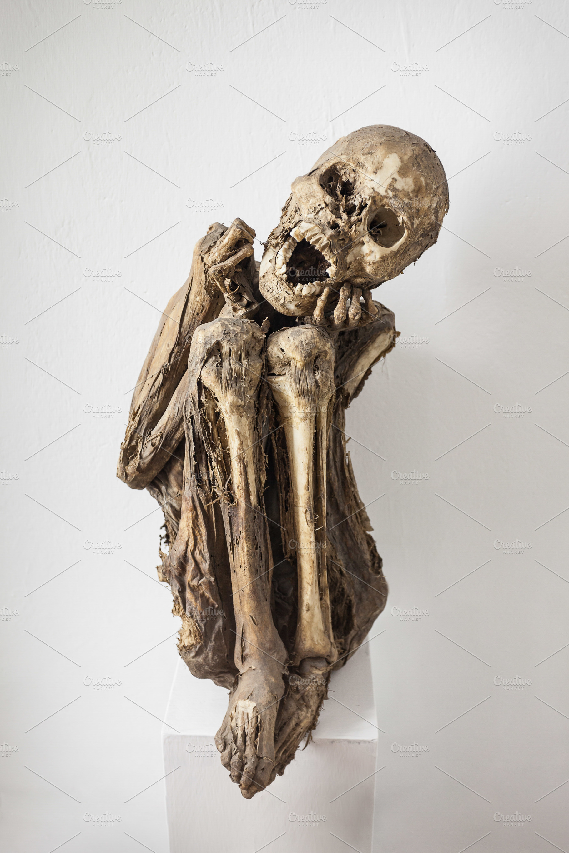 Mummified human corpse, a Photo by saiko3p