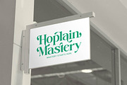 Adjust Smile Modern Tall Serif, a Serif Font by timelesstype.co (Thumbnail 3 of 20)