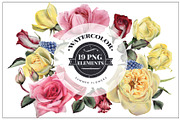 Summer Flowers, a Decorative Illustration by ollalya (Thumbnail 1 of 4)
