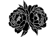 Peony Flower Silhouette, an Object Graphic by Designer_Momina (Thumbnail 11 of 18)