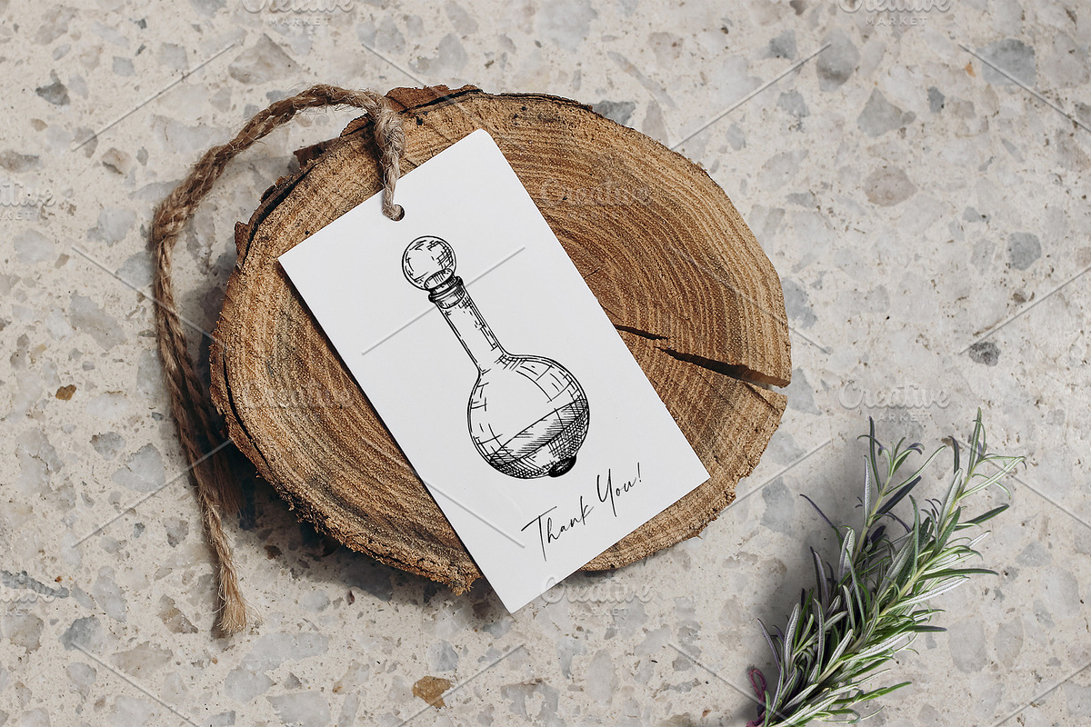 Herbs of Provence Collages & Vectors, a Healthcare Illustration by Yevheniia (Photo 12 of 12)