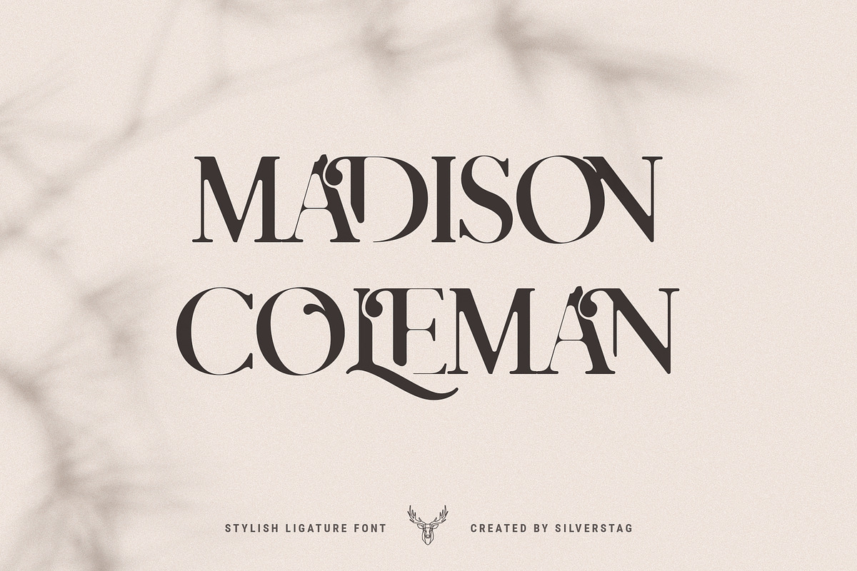 Charles - Chic Ligature Serif Font, a Serif Font by SilverStag Type Foundry (Photo 17 of 31)