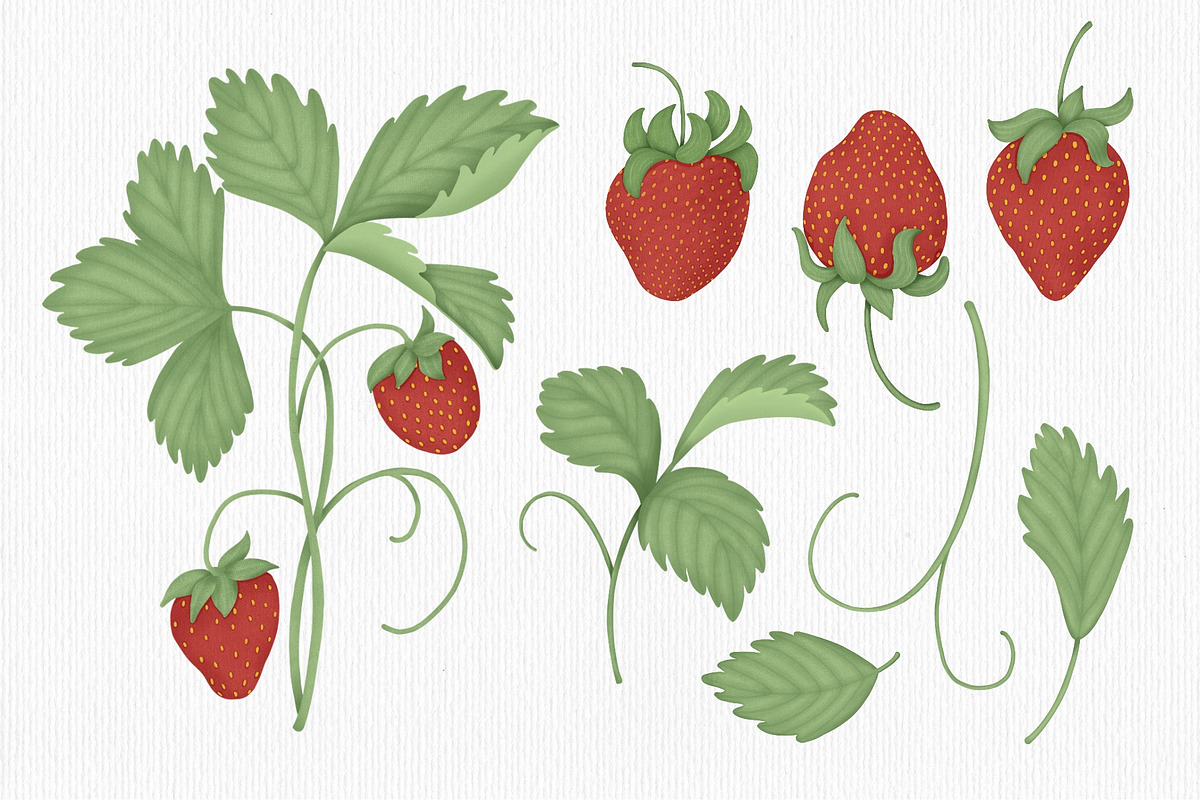 Strawberry, a Seasonal Illustration by Iryna Mel (Photo 3 of 8)
