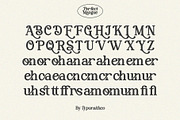 Perfect Mangue | Serif Duo Font, a Serif Font by Typoraith Co (Thumbnail 10 of 10)