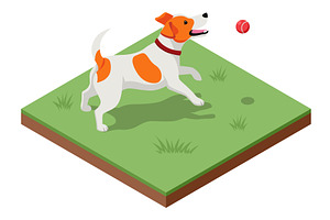 Isometric illustration of a dog, an Animal Illustration by Golden Sikorka