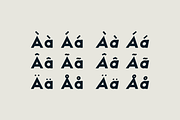 HAUS Sans Extra Bold, a Sans Serif Font by MARTINI Type Designer (Thumbnail 4 of 5)