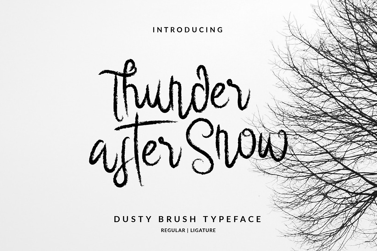 Thunder After Snow Brush Font, a Script Font by Dicubit (Photo 1 of 10)