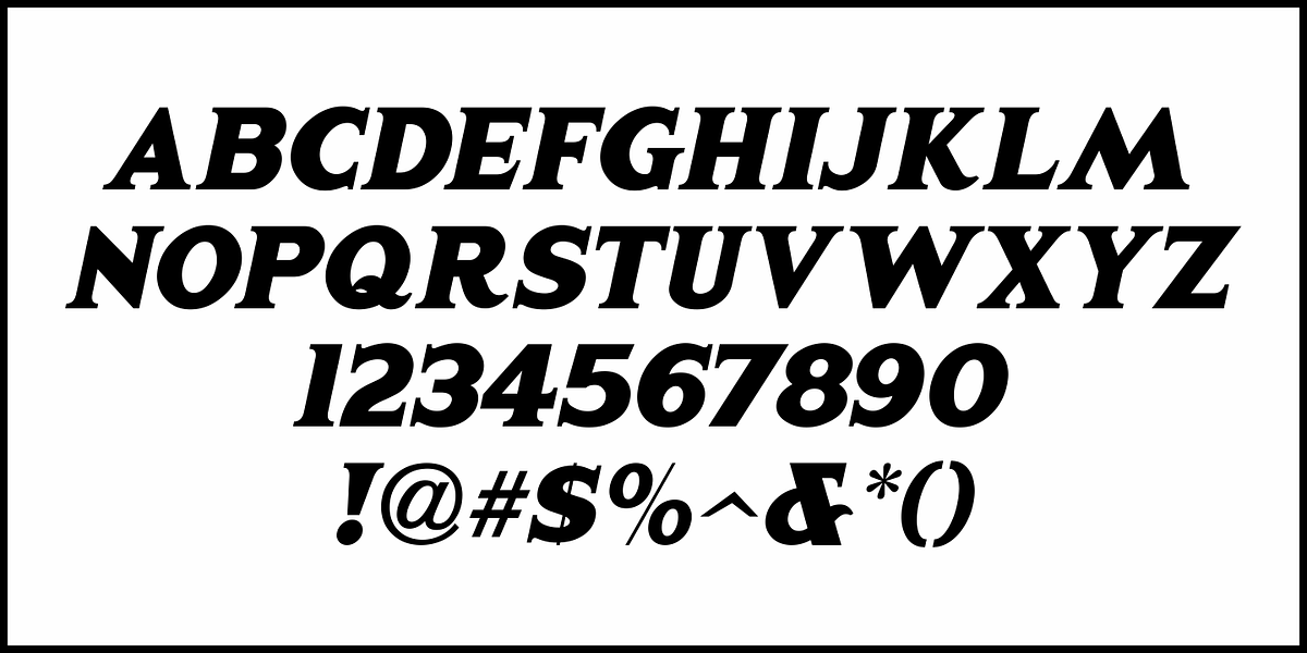 Legal Brief JNL, a Serif Font by Jeff Levine Fonts (Photo 5 of 5)