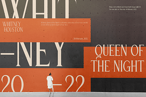 Queen Serif - 10 Fonts