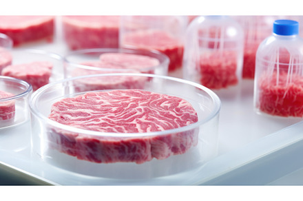 A plate of raw meat next to a tray, a Food & Drink Photo by tilialucida