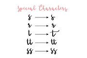 Ladybugs Script Font, a Script Font by PARAMAJAN (Thumbnail 11 of 11)