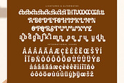 Mintage Twentys Retro Display Font, a Serif Font by Letterena Studios (Thumbnail 14 of 15)