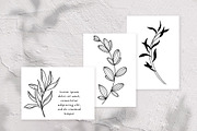 Leaves SVG, PNG, DXF, pdf, eps files, a Decorative Illustration by DamriNa art (Thumbnail 3 of 5)