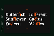 TA Charged Medium, a Font by TAFT Foundry (Thumbnail 1 of 5)