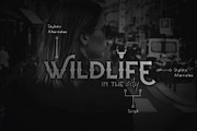 Blombanc Font Duo, a Serif Font by Vacatype Co. (Thumbnail 5 of 5)