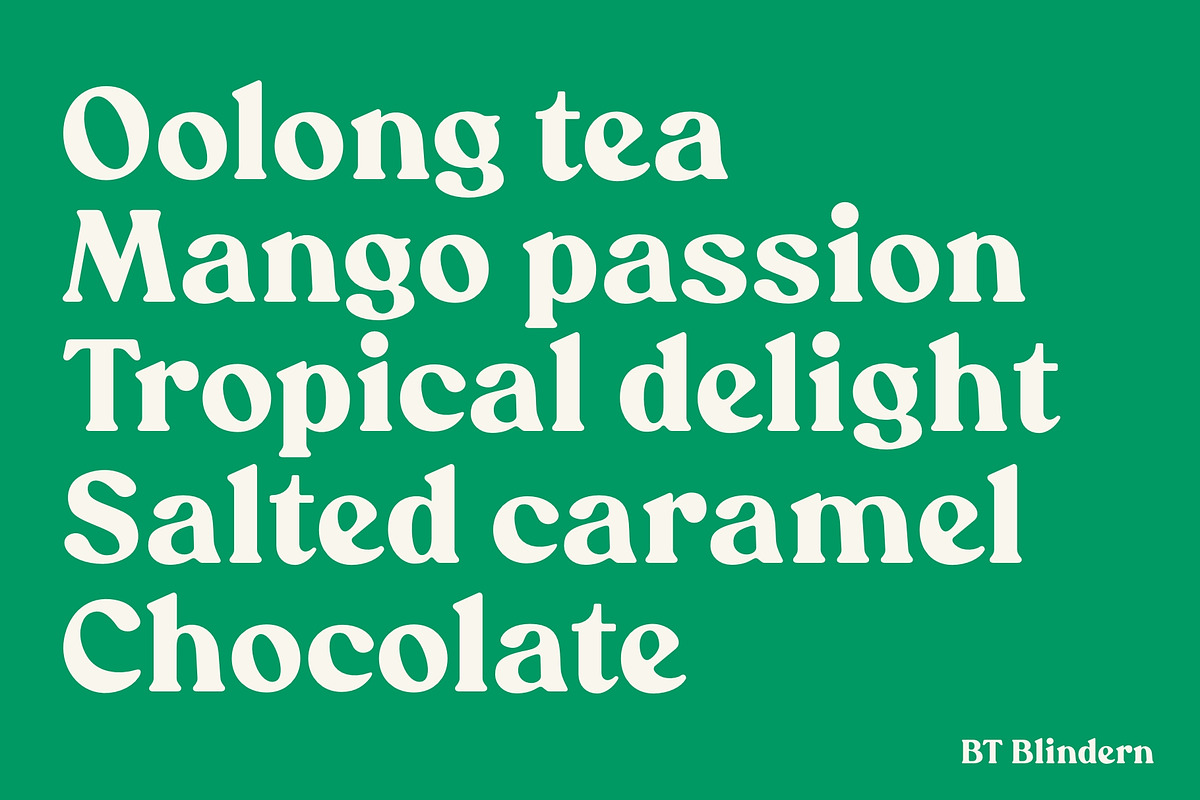 BT Blindern, a Serif Font by BadType (Photo 3 of 9)