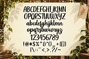 Coiltper - Modern Brush Font, a Handwritten Font by RHD Creative Studio (Thumbnail 5 of 6)