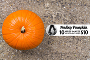 Feeling Pumpkin, a Templates & Theme by Feelings (Thumbnail 1 of 5)