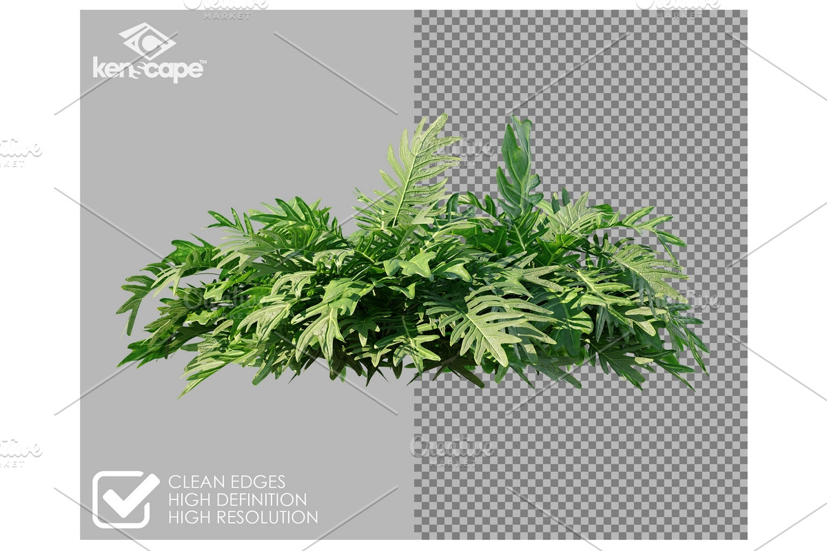 70 Assorted Plants Photo Overlays, a Nature Photo by KenScape (Photo 2 of 4)