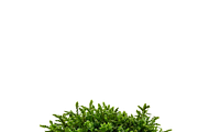 ETARA Samhain Ritual Kit, a Decorative Illustration by ETARA by Mea Hau (Thumbnail 40 of 80)