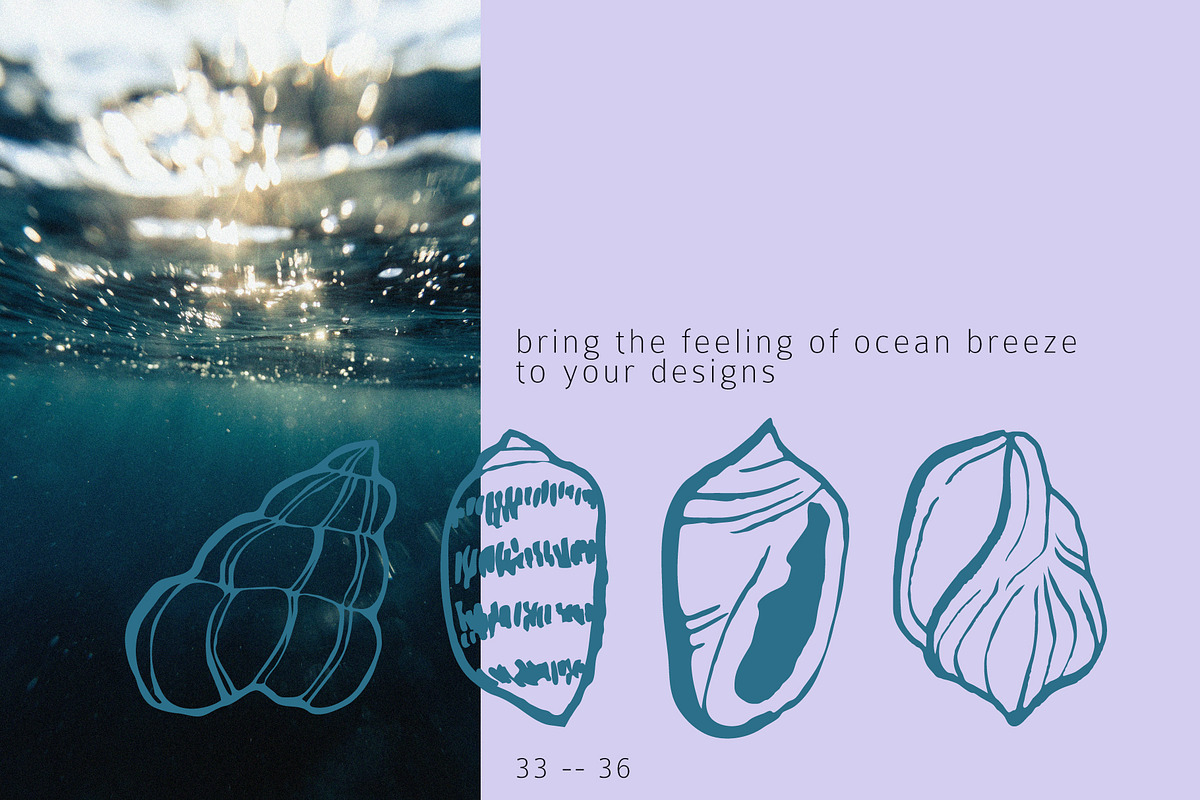 Seashells Hand drawn vector elements, a Seasonal Illustration by Lena Nikolaeva (Photo 9 of 14)