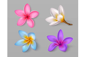 Set of frangipani flowers isolated, an Object Illustration by art PVP - market