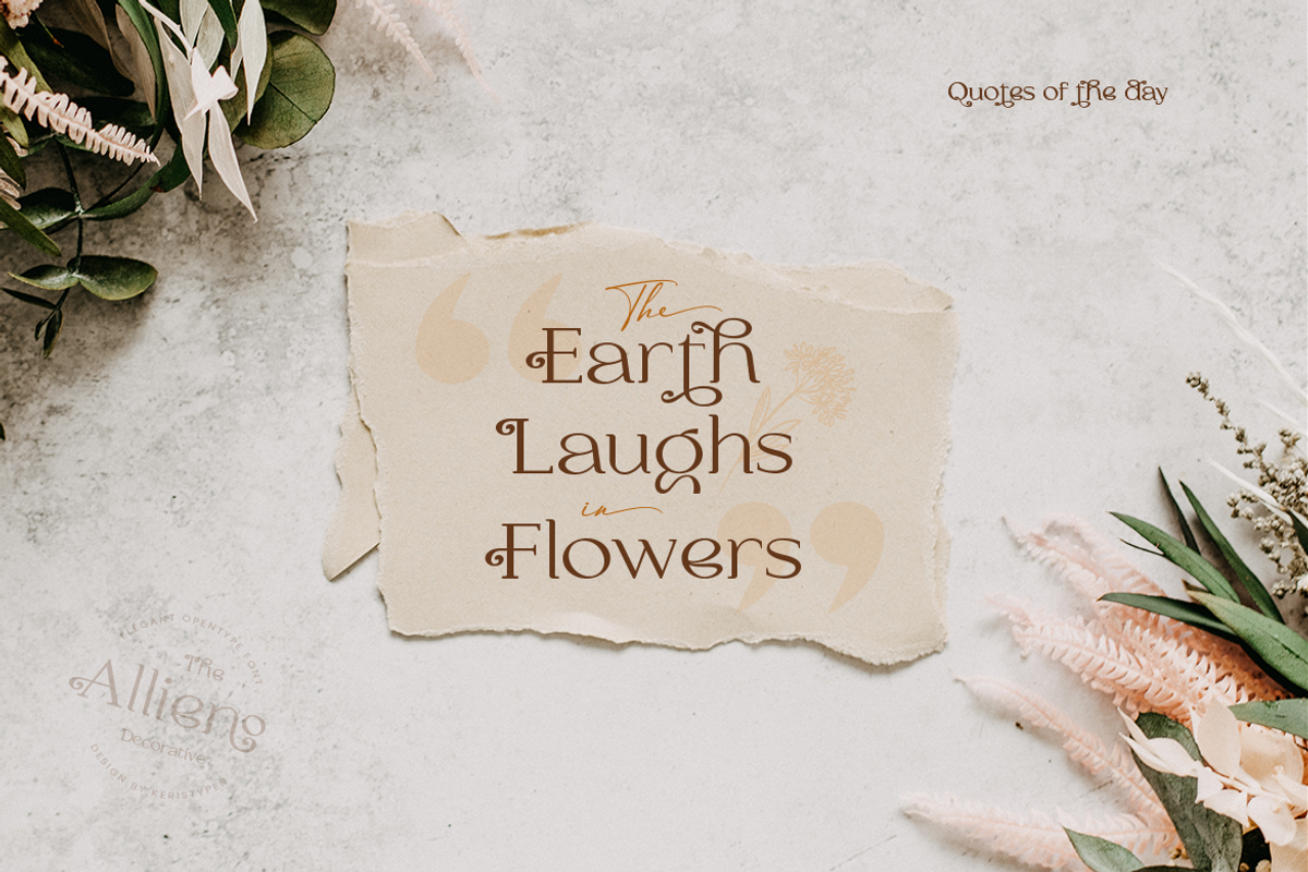 Allieno, a Serif Font by kerismaker (Photo 3 of 12)
