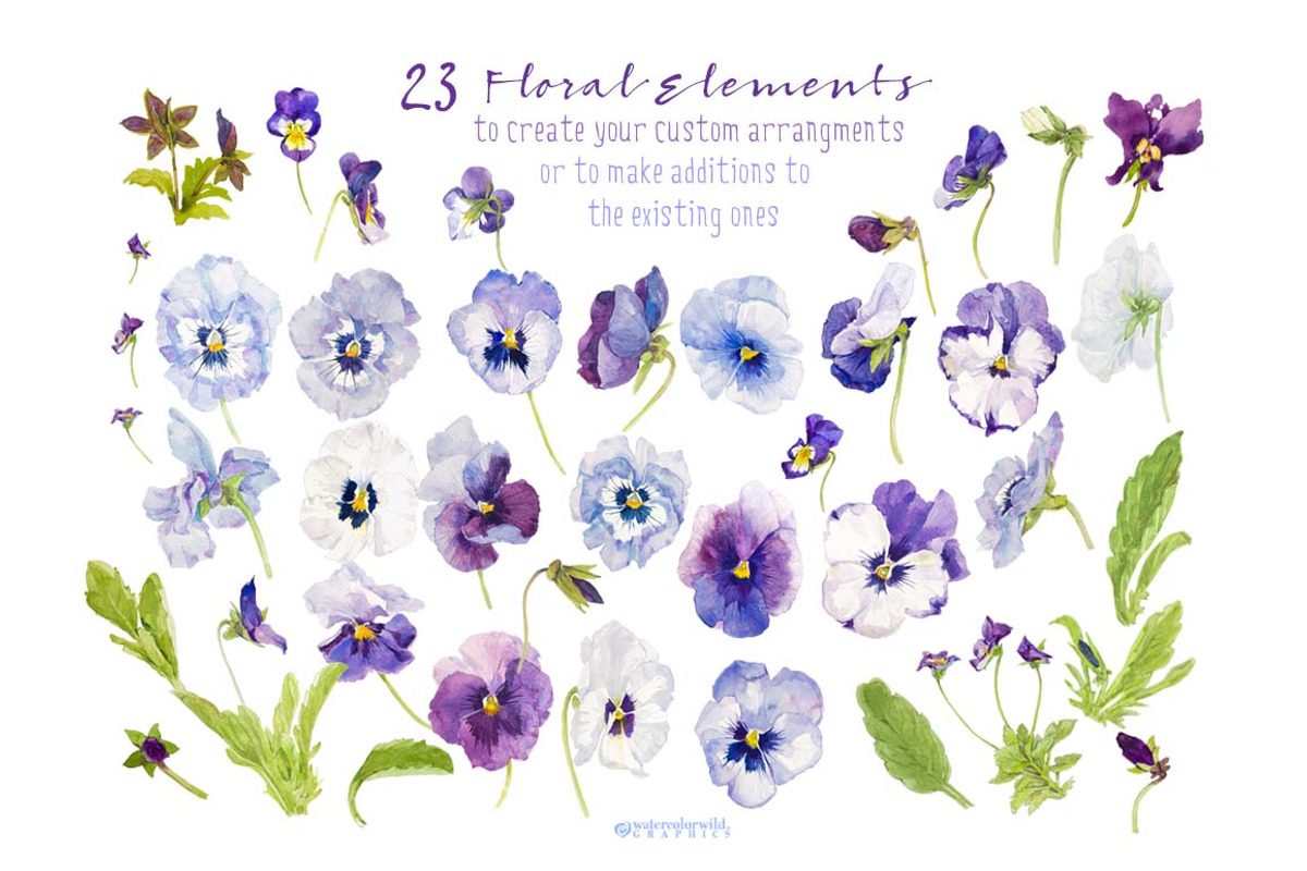 Pansies-Design pack, an Illustration by watercolorwild.graphics (Photo 3 of 10)